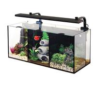 AquaOne 52093 Betta Trio Kit