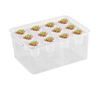 Aquaponic Planter and Aquarium for Betta Fish, Betta Fish Tank, Desktop Planter Decorations, Home Betta Fish Tank, Hydroponic Plant Propagation Station for Women and Mother