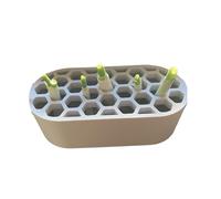 Aquaponics Growing System | Scallion Sprouting Box - Hydroponic Growing Planters for Gardeners | for Garden Indoor Outdoor Home Office Desk Window Balcony Patio Yard