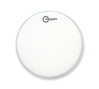 Aquarian 10" Super 2 Coated