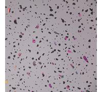 Aquariss Sample for PVC Wall Panel Bathroom Wet Wall Cladding Shower Panel 200x100x10mm Gloss White Sparkle