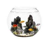 Aquarium - 7 Inch Fish Tank | ABS Fish Tank - Mini Table Fish Tank This 210g Clear Container with is ideal for creating a Zen decoration and