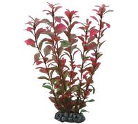 Aquarium accessories Hobby Ludwigia