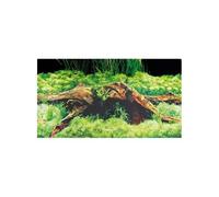 Aquarium accessories Hobby Spring