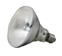 Aquarium accessories JBL UV-Spot plus 80W