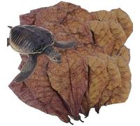 Aquarium Almond Leaves - Catappa Indian Almond Leaves | PH Balance Water Conditioner For Aquarium, Turtle Tank, Fish Tank For Turtles, Shrimps, Catfish, Frog Habitat Accessories | Cut Into Small