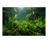 Aquarium Backdrop Lush Aquatic Plants Seagrasses Terrarium Background Redwood Root with M oss Tropical Style Green Underwater Plants Fish Tank Background Under The Sea Aquarium Backdrop 30x12in