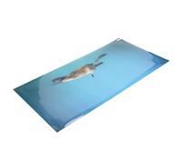 Aquarium Background 3D Effect PVC Self Adhesive Decoration Poster for Fish Tank, High Transparency HD Lifelike Clear Patterns for Aquascape (122 * 50CM)