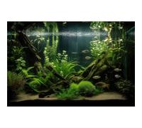 Aquarium Background Diverse Aquatic Plants and Seagrasses Terrarium Background Redwood Root Lush Green Underwater Plants Moss Fish Tank Background Under The Sea Aquarium Backdrop Vinyl 36x18in