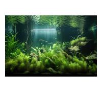 Aquarium Background Lush Green Aquatic Plants and Seagrasses Terrarium Background Under The Sea View With Rock Sands Fish Tank Background Amazing Aquarium Backdrop Background Poster Vinyl 36x24in