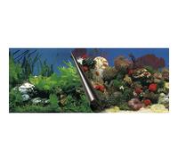 Aquarium background poster Aqua Della Sea & Rock
