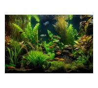 Aquarium Background Tropical Freshwater Habitat with Colorful Fish Plants Terrarium Background Tranquil Under The Sea Aquatic Plants Redwood Root with Lush Moss Fish Tank Background Vinyl 72x24in