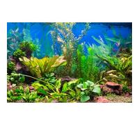Aquarium Background Various Underwater Grass Plants Aquarium Backdrop Vivid and Fresh Green Aquatic Plants Stone River Bed and Dead Wood Purple Stone Tank Background Vinyl 24x16in