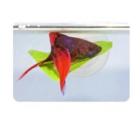 Aquarium bed Zoomed Betta BL20E