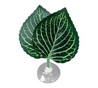 Aquarium Betta Hammock - Comfortable Leaf Rest for Fish, Breeding and Relaxation Policy, Promotes Healthy Gills and Swimming Behavior, Natural Habitat Simulation for Tank