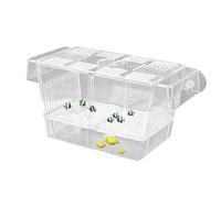 Aquarium Breeder Box - 20.5x9.5x9.9 Cm Acrylic Isolation Hatchery, Hanging Tank Insert, Handle Support, Measuring Plate | Versatile Fish Nursery Container For Breeding Fry Recovery Betta Separati
