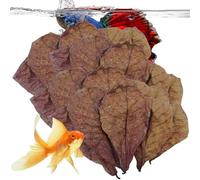 Aquarium Catappa Leaves | Almond Leaves for Betta Fish Secret Environment for Shrimp, Crabs, Turtles Betta Fish to Offset Water pH