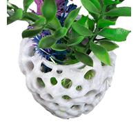 Aquarium Cave - Fish Tank Decoration, Small Porous Betta House | Underwater Shelter Ornament,Aquarium Ornament Small and Medium Fish Accessories, Safe Hiding for Fish, Amphibians, Reptiles