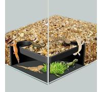 Aquarium Cave Hideout with Viewing Window - Corner Fish Tank Tunnel for Pleco, Cory Catfish, Kuhli Loach, Shrimp & Betta - 2 Hole Plastic Breeding Shelter for Bottom Dwellers (6"x6"x2.5")