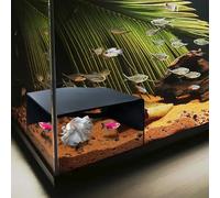 Aquarium Corner Cave Hide Axolotl Cichlid Cave Fish Tank Accessories, Corner Fish Aquarium Cave Hide with Viewing Window, Terrarium/Aquarium Underground Natural Cave