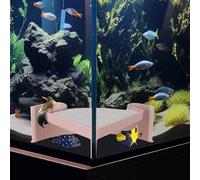 Aquarium Corner Cave with Viewing Window - 2-Hole Fish Hideout for Plecos, Cory Catfish, Shrimp, Kuhli Loach, Betta - Safe Plastic Undergravel Shelter for Bottom Dwellers (5"x5"x2")