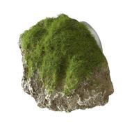 Aquarium decoration Aqua Della Moss Stone With Suction Cup