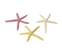 Aquarium decoration Aqua Della Starfish Mix