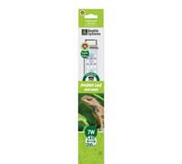 Aquarium decoration Aquarium Systems Proten New Dawn