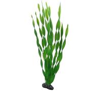 Aquarium decoration Hobby Vallisneria