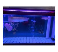 Aquarium Divider Kit, 5mm Thick Acrylic Panel with Suction Cups, Fish Tank Separator for Division and Space Management