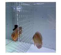 Aquarium Divider Kit - 5mm Thick Acrylic Panel with Suction Cups for Fish Tank Separation and Space Division