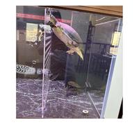 Aquarium Dividers - 5mm Thick Acrylic Fish Tank Separator with Suction Cups for Fish Safety and Isolation