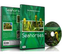 Aquarium DVD- Seahorses - with Relaxing Music and Nature Sounds