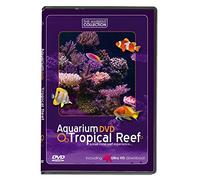 Aquarium DVD - Tropical Reef With 4k Ultra HD Download, Natural Sound and Relaxing Music