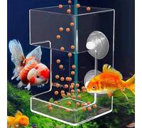 Aquarium Feeding Ring and Tray, Automatic Fish Feeder,Fish Feeding Ring with Suction Cups,Reduce Filter Blockage In The Tank,Shrimp Tank,Transparent,Clear And Visible for Fish and Shrimp (A,1PC)