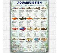 Aquarium Fish Feeding & Care Guide Poster A3 - Tropical Fish Identification Chart - Freshwater Community Fish Care Reference - Educational Aquarium Wall Art