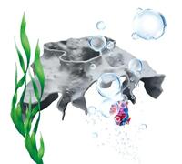 Aquarium Fish Shelters - Realistic Stable Hiding Hole Tunnel,Aquarium Underground Cave,for Beginners Betta Freshwater Aquatic Underwater Hiding Resting Fishing Home