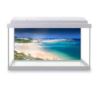 Aquarium Fish Tank Background 90x45 cm - Porthminster Beach St Ives Cornwall Static Cling Vinyl Vivarium Terrarium External Application #51758