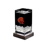 Aquarium Fish Tank Square High Translucent Fighting Fish Tank with Wooden Base Tropical Fish Tank Thickened Glass Desktop Small Fish Tank Fish tank(White)