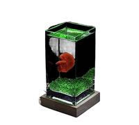 Aquarium Fish Tank Square High Translucent Fighting Fish Tank with Wooden Base Tropical Fish Tank Thickened Glass Desktop Small Fish Tank Fish tank(Green)