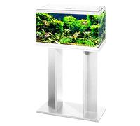 Aquarium Fish Tank with Stand/Filter/LED Lighting 60cm 2ft 58L (White)