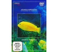 Aquarium impressions