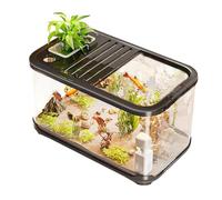 Aquarium Kits with Ventilation Holes - Complete Fish Tank Starter Kit | Turtle Shrimp Aquatic Habitat with Stairs, Plant Decor Sand Gravel Saltwater Landscaping for Office Tabletop Bedroom Home Displa