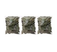 Aquarium Longan Leaves, Natural Reptile Leaves, Dry Lizards Accessories, Turtle Habitat Bedding, 150 Pieces For Frogs Fish Snakes Shrimp Small Animal Home