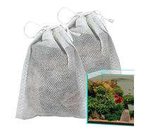 Aquarium Mandelion Leaves - Catappa Leaves for Betta Fish, Catappa Almond Leaves | Shrimp Tank Accessories for Creating Natural Habitat, Improves Immunity, Better Living Environment