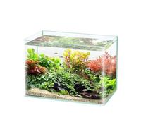 Aquarium New Ultra Clear Glass Fish Tank Heated Curved Craft Desktop Small Aquarium Turtle Tank for Living Room Fish tank(35cmx21cmx23cm)