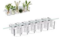 Aquarium Plant Holder, Fish Tank Stand with 6 Transparent Hydroponic Supports, Space-Saving Aquarium Plant Weights for Aquatic Plant Walls and Water Quality Improvement, Easy Installation and Rearrang