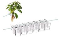 Aquarium Plant Holder - Six Transparent Holders Can Be Hung Stable And Unflashy, Support For Aquatic Plants The Culture Promotes Healthy Growth