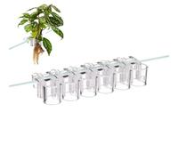 Aquarium Plant Stands - 6 Pack Transparent Hydroponic Cups | Hanging Cups for Fish Tank Plants, Raisins Growing Plants and Ecosystem in Home Fish Tank