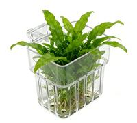 Aquarium Planter - Transparent Water Cup with Hook on the Wall, Floating Plant Cradle, User-friendly Design, Elegant Underwater Gardening for Aquarium Display Scenario, V